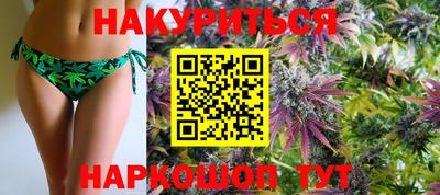 гидропоника Камышлов
