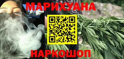 гидропоника Камышлов