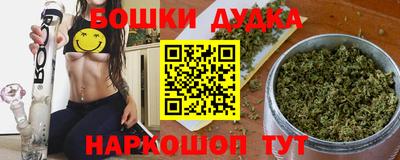 гидропоника Камышлов