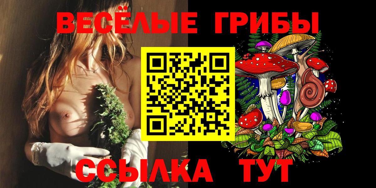 Ленинск-Кузнецкий  Галлюциногенные грибы Cubensis  Вход с VPN 